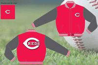 Cincinnati Reds / Red and Grey - MLB Wool Reversible Jacket