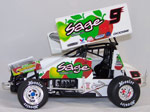 Kasey Kahne #9 Sage Fruit - Sprint Car