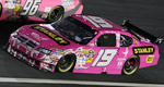 2009 Elliott Sadler #19 Stanley Tools / Susan G. Komen Diecast