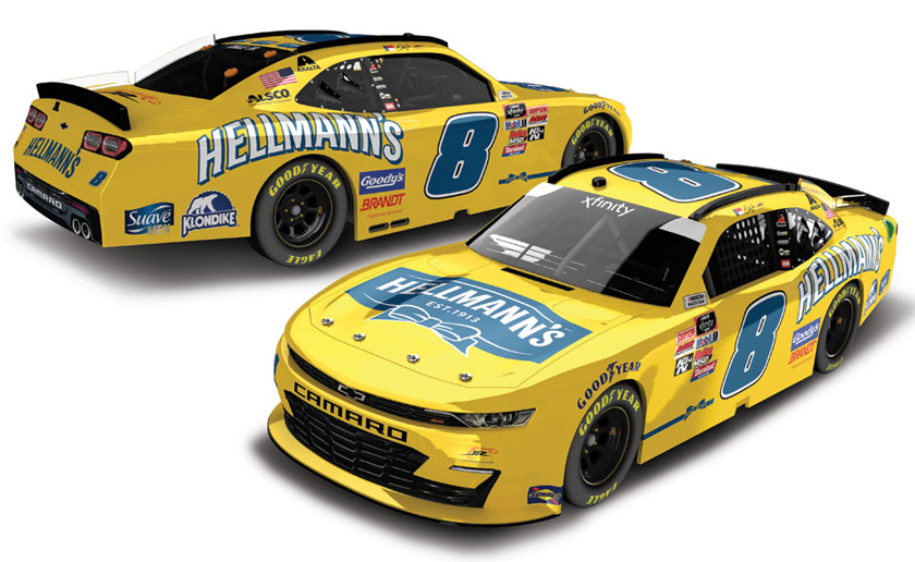 NEW 2020 DALE EARNHARDT JR #8 HELLMANNS  1/24 CAR DALE RAN THIS AT HOMESTEAD 