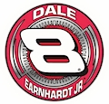#8 Dale Earnhardt Jr - Hat Pin