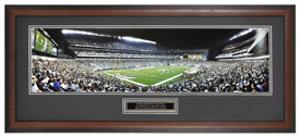 Philadelphia Eagles / Lincoln Financial Field - Framed Panoramic