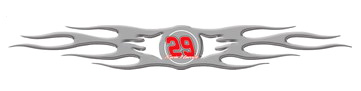 #29 Kevin Harvick 3-D Auto Graphic Decal