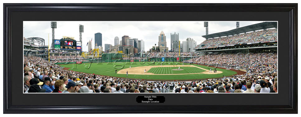 Officially Licensed Framed and Matted Sports Panoramas