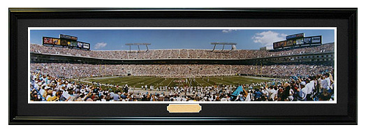 Carolina Panthers / Bank of America Stadium - NFL Framed Panoramic