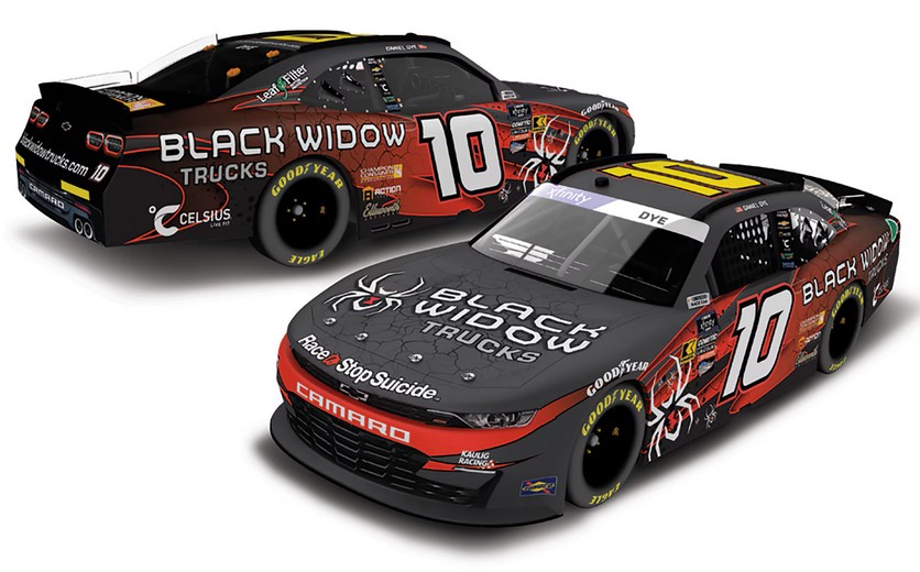 2024-dye-black-widow-3_20250604180038