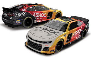 2022-chase-elliott-ashoc_20250604175019