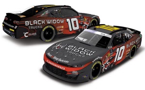 2024-dye-black-widow-3_20250604180038