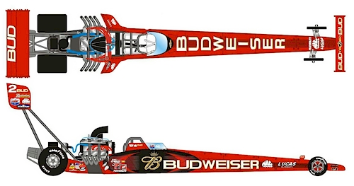 Brandon Bernstein - Budweiser