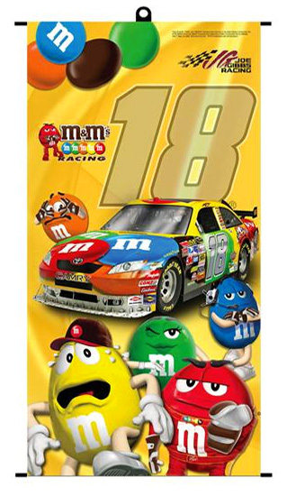 #18 Kyle Busch / M&M's - Vinyl Banner / NASCAR Poster