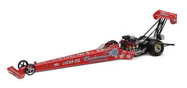 Brandon Bernstein - Budweiser