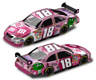 Kyle Busch #18 M&M's - Susan G. Komen