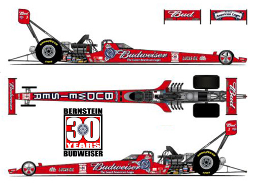 Brandon Bernstein - Budweiser 30yrs / Autographed