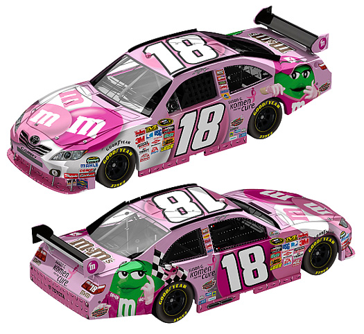 Kyle Busch #18 M&M's - Susan G. Komen