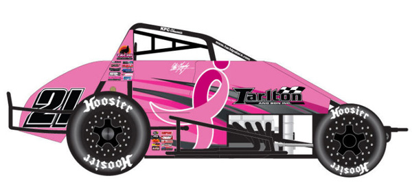 2010 Peter Murphy #21 Breast Cancer - Wingless Sprint Car 1/64 Diecast