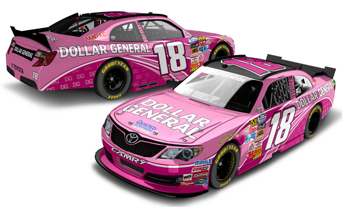 2012 Denny Hamlin #18 Dollar General Pink 1/64 Diecast