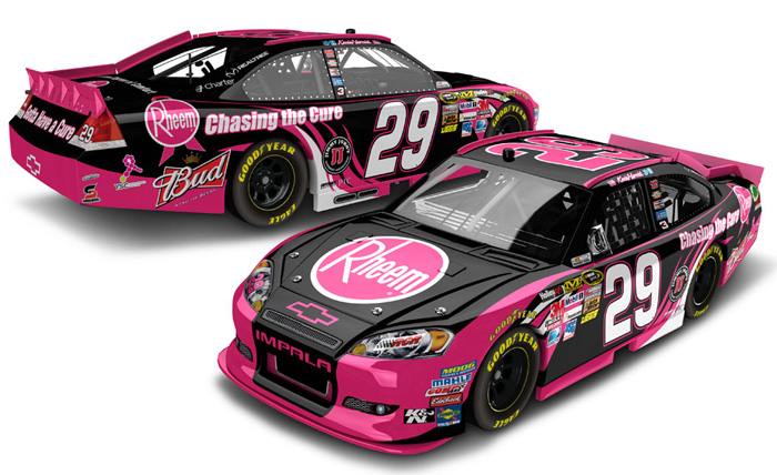 2012 Kevin Harvick #29 Rheem - Chasing the Cure Diecast