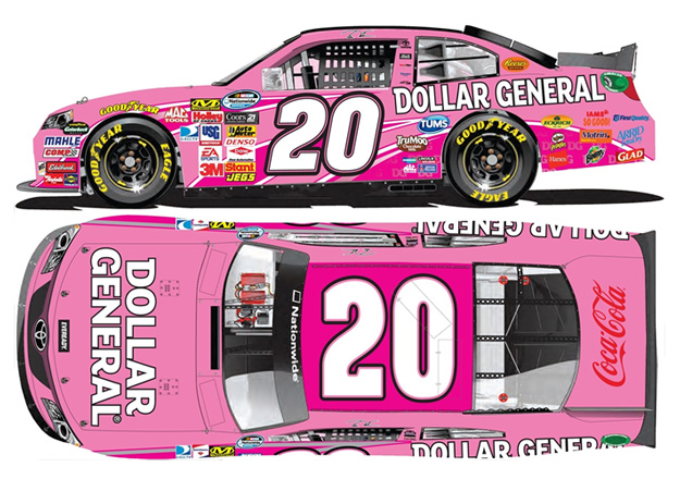 2013 Brian Vickers #20 Dollar General Pink 1/64 Diecast