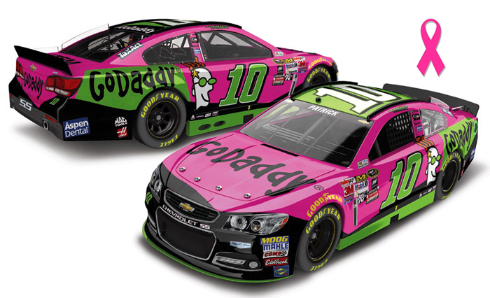 2015 Danica Patrick #10 GoDaddy - Paint the Track Pink 1/64 Diecast
