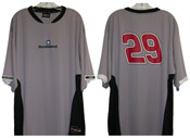 #29 Kevin Harvick - GM Goodwrench Practice Jersey