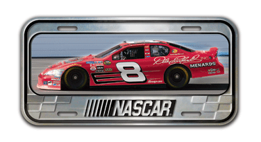 #8 Dale Earnhardt Jr - Domed Metal License Plate
