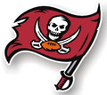 Tampa Bay Buccaneers 12 NFL Vinyl Magnet