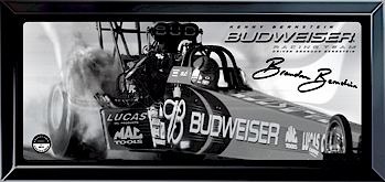 Brandon Bernstein / Budweiser - Reflective Plaque