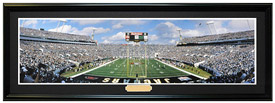 Jacksonville Jaguars / First Playoff at Alltel Stadium - NFL Framed Panoramic