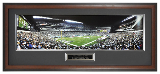 Philadelphia Eagles / Lincoln Financial Field - Framed Panoramic