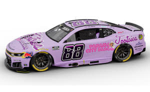 2026 Connor Zilisch #88 Tootsies 1/24 Diecast