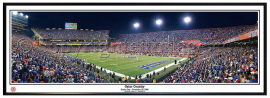 Florida Gators / Gator Country Senior Day 2009 - Framed Panoramic