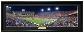 Florida Gators / Gator Country Senior Day 2009 - Framed Panoramic