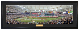 Tampa Bay Rays 2008 World Series Opening Ceremony - Framed Panoramic