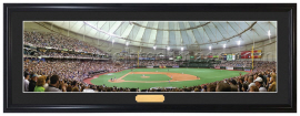 Tampa Bay Devil Rays / First Pitch Tropicana Field - Framed Panoramic