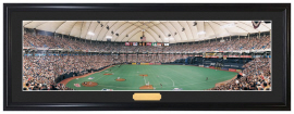 Minnesota Twins / The Metrodome - Framed Panoramic